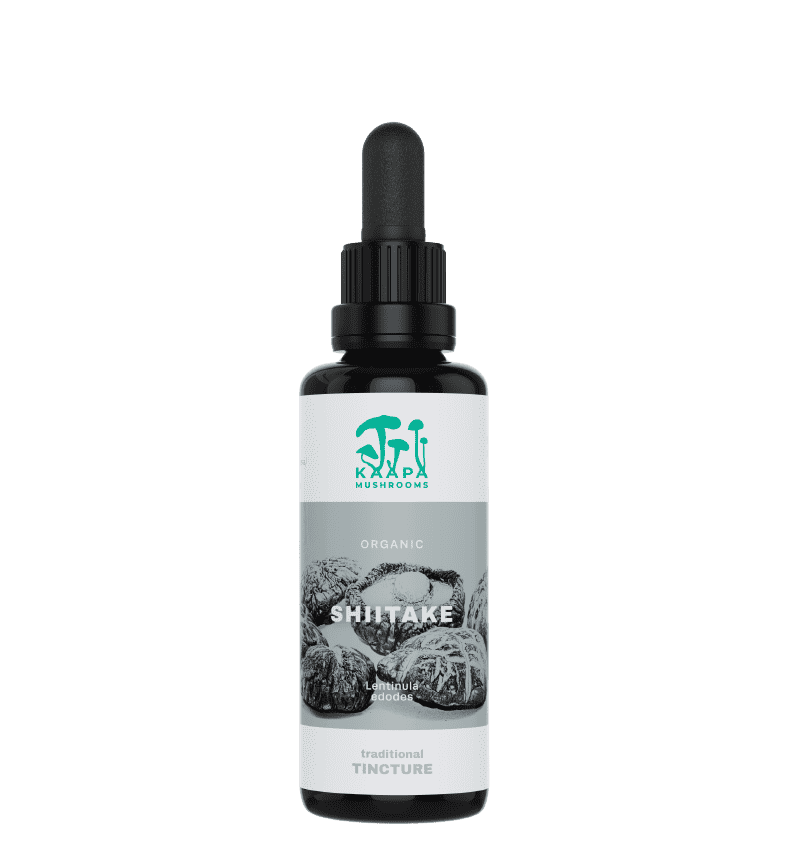 KÄÄPÄ Mushrooms Shiitake Organic Tincture 50ml bei LiveHelfi kaufen