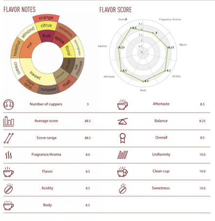 NoordCode Pure Coffee Medium Roast Whole Beans 250g bei LiveHelfi kaufen