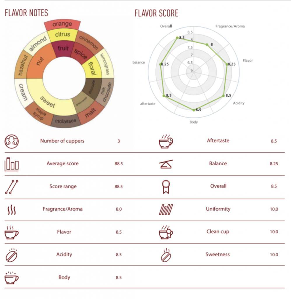 NoordCode Pure Coffee Medium Roast Ground 250g bei LiveHelfi kaufen