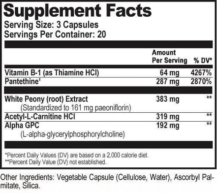 Natural Stacks Acetylcholin Brain Food bei LiveHelfi kaufen