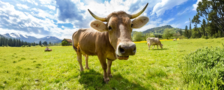 Was eine Bio-Zertifizierung wirklich bedeutet