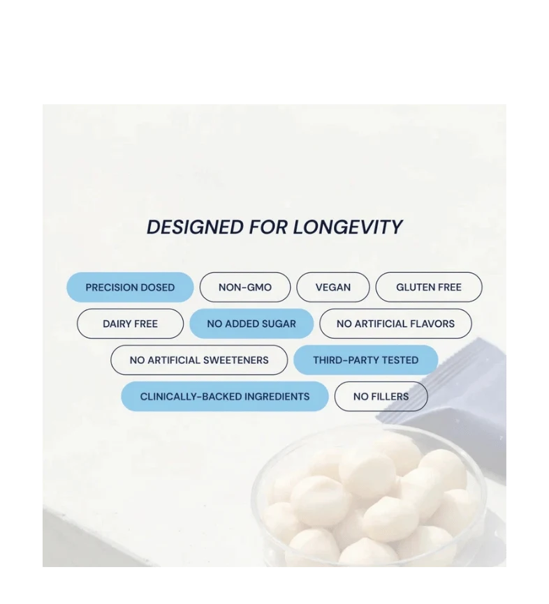 Macadamia Protein Bar Variety Pack